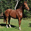 Integrate > Peggy 1.5 Years Old photo