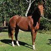 Integrate > Peggy 1.5 Years Old photo